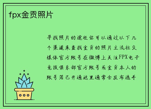 fpx金贡照片